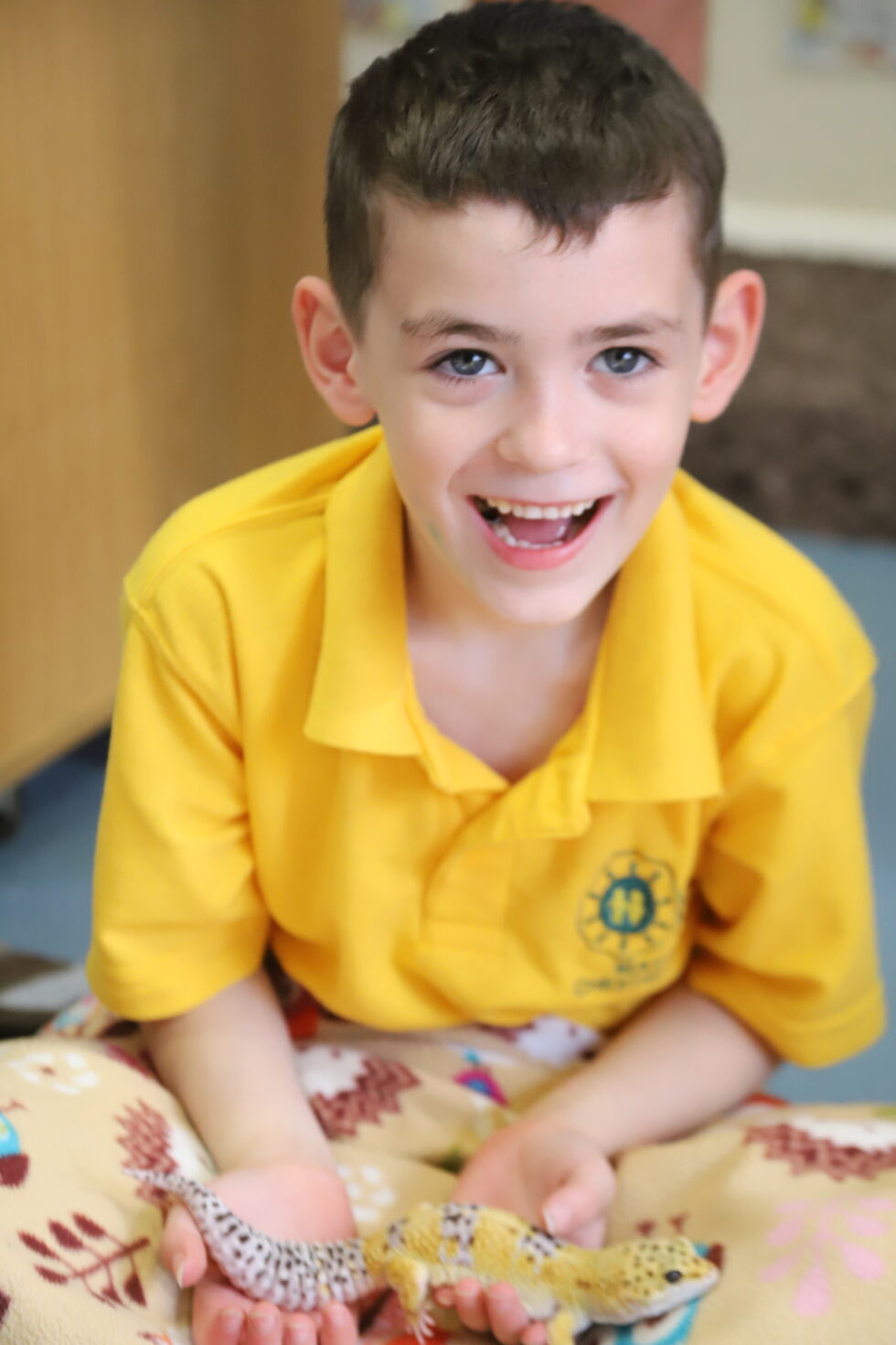 Mayfield Chestnut Mayfield School Torbay Mayfield chestnut mayfield school torbay